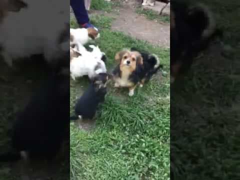 Rita en vidéo 2