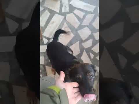 Zelia en vidéo 1