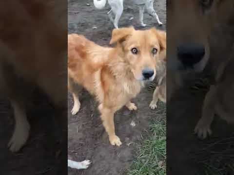 Kingston en vidéo 3