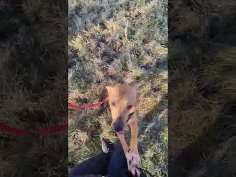 Hanani en vidéo 7