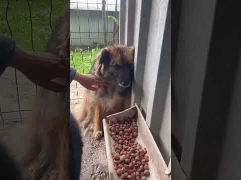 Lulu en vidéo 3