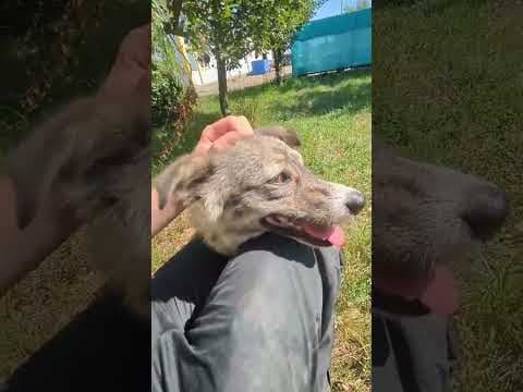 Elegance en vidéo 2
