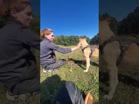 Thalie en vidéo 4