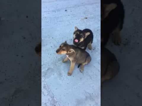 Nyna en vidéo 1
