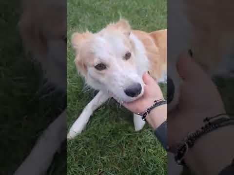 Zuko en vidéo 3