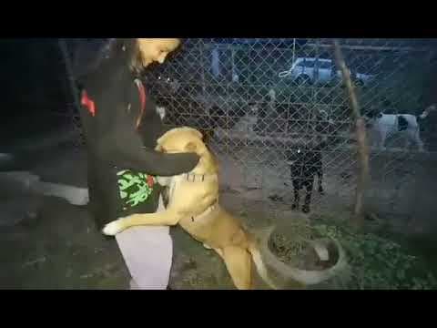 Zeus en vidéo 1