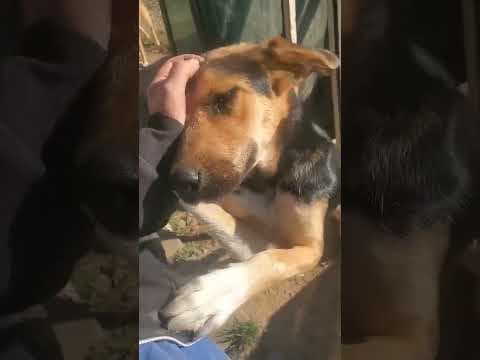 Chuan en vidéo 1