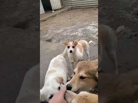 Feeling en vidéo 1