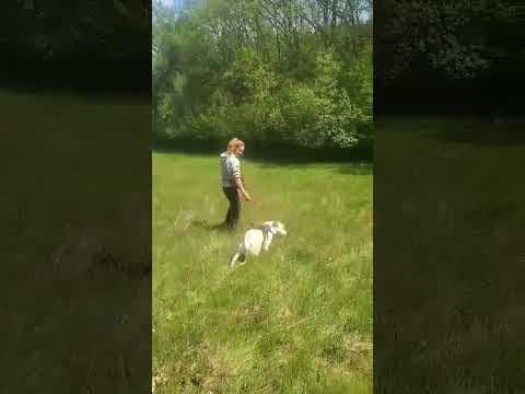 Yellow en vidéo 12
