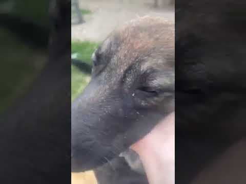 Nando en vidéo 1