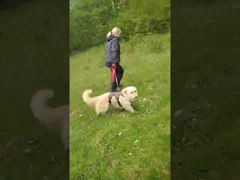 Sable en vidéo 4