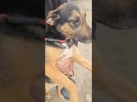 Toula en vidéo 2