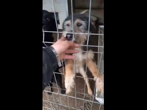 Derek en vidéo 7