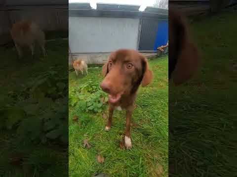 Parker en vidéo 1