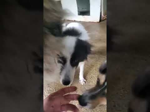 Lizzy en vidéo 2