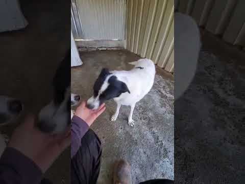 Mara en vidéo 1