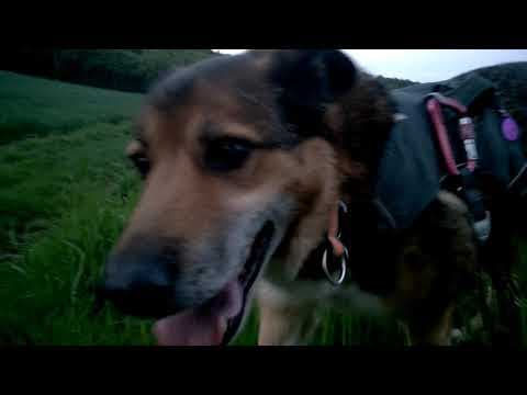 Monsieur en vidéo 11