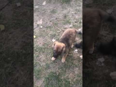 Nyna en vidéo 2