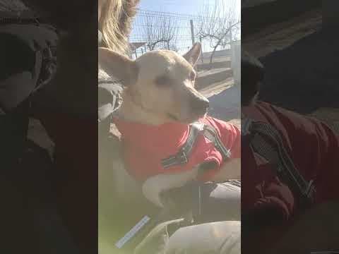 Kitkat en vidéo 4