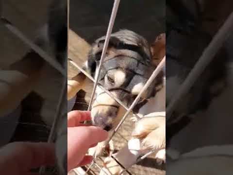 Bumper en vidéo 1