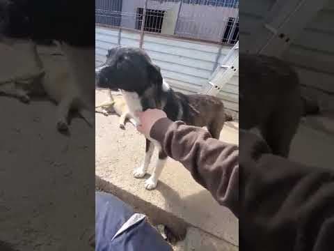Luna en vidéo 1