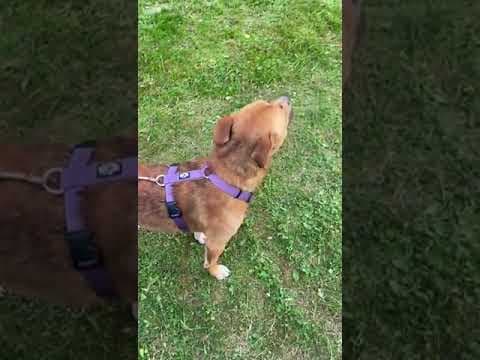 Zeus en vidéo 6