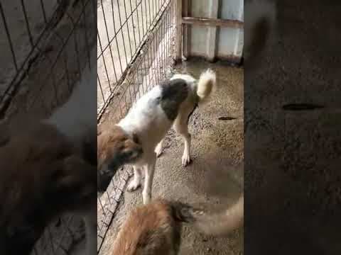 Sunn en vidéo 1