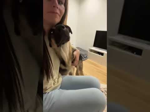 Lola en vidéo 3