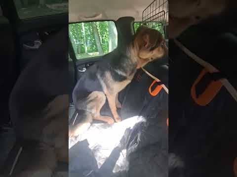 Kessyra en vidéo 3