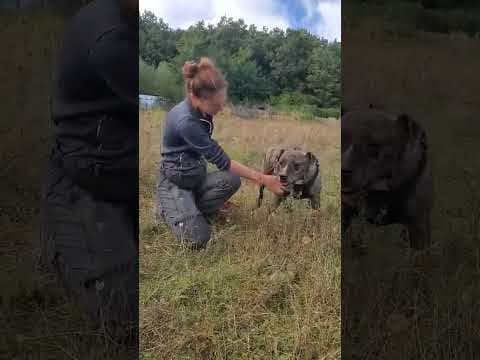Deedjay en vidéo 5