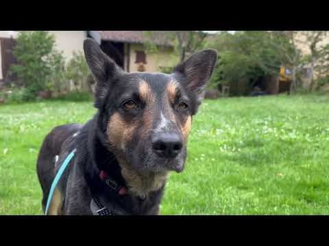 Taco en vidéo 8