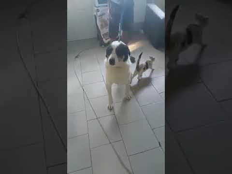 September en vidéo 4