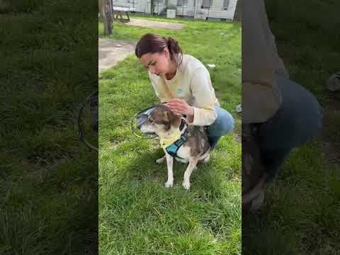 Ziva en vidéo 11