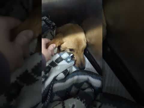 Hanani en vidéo 5