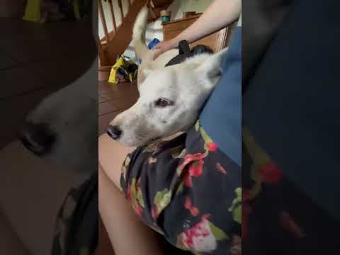 Geralt en vidéo 7