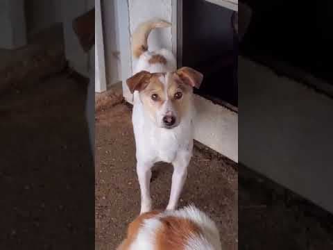 Doreen en vidéo 2