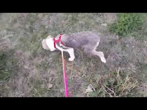 Theona en vidéo 2