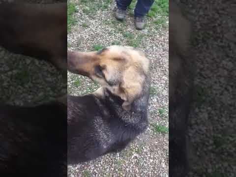 Lola en vidéo 2