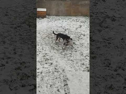 Copernica en vidéo 5