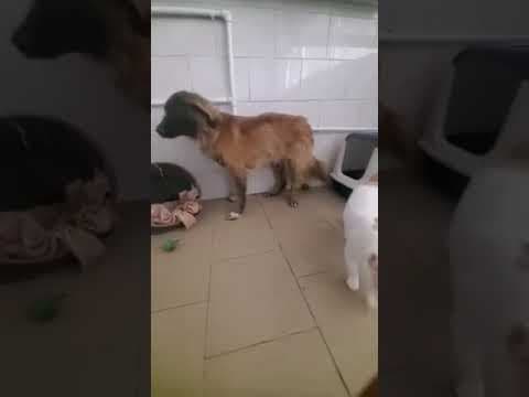 Arzhel en vidéo 1
