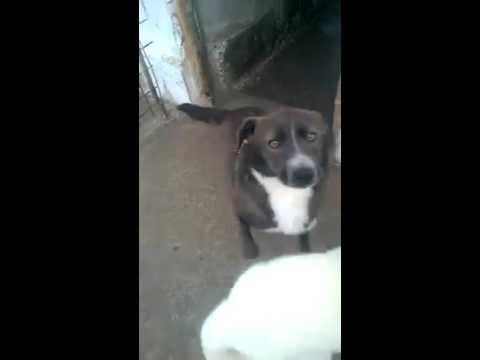 Violette en vidéo 1