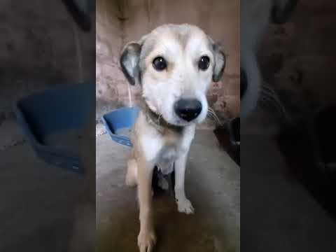 Fantine en vidéo 1