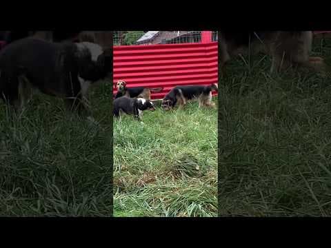 Narco en vidéo 6
