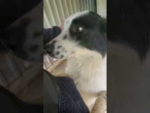Funky en vidéo 1
