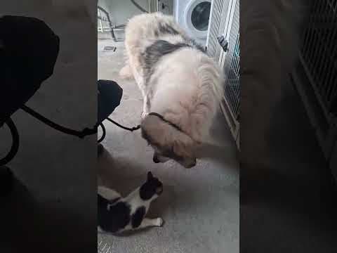 Baïkal en vidéo 7