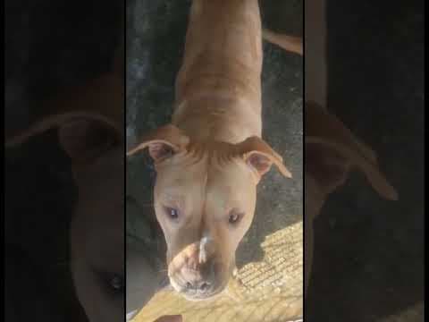 Tunari en vidéo 5