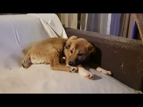 Ayvi en vidéo 1