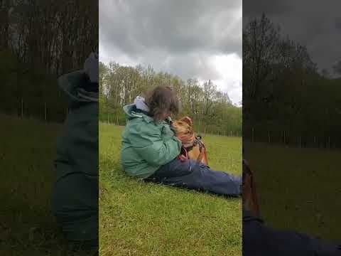 Zorya en vidéo 1