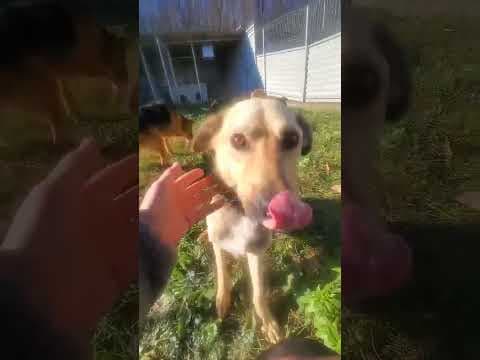 Piment en vidéo 1