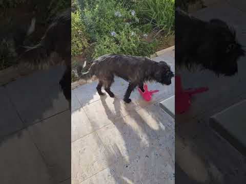 Mimi en vidéo 7